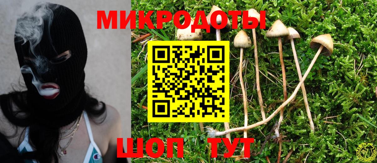 Якутск  купить наркотик  Галлюциногенные грибы Magic Shrooms  Вход с VPN  Псилоцибиновые грибы MAGIC MUSHROOMS 