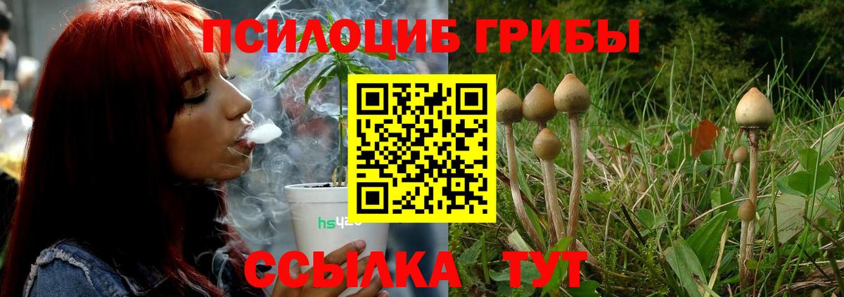 Галлюциногенные грибы Magic Shrooms Якутск